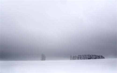 小班下雪啦 艺术,第一集:雪中小画家第二集